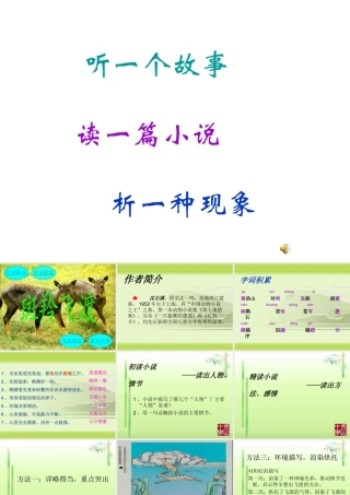 七年级语文 斑羚飞渡 课件人教版 课件