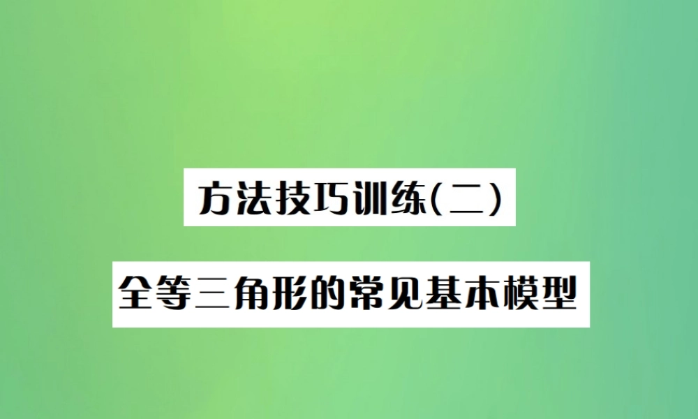中考数学复习 第四单元 图形的初步认识与三角形 方法技巧训练(二)全等三角形的常见基本模型课件