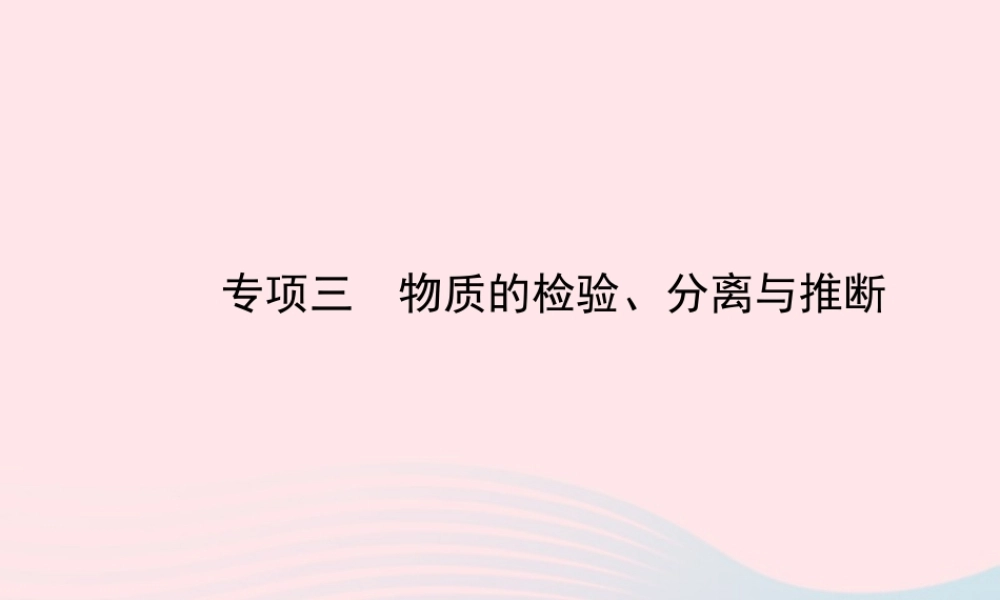 中考化学全程复习 专项三 物质的检验、分离与推断课件 新人教版 课件