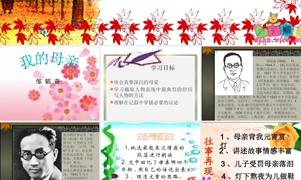 八年级语文我的母亲课件1苏教版 课件