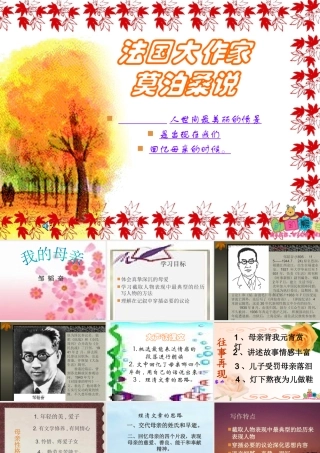 八年级语文我的母亲课件1苏教版 课件