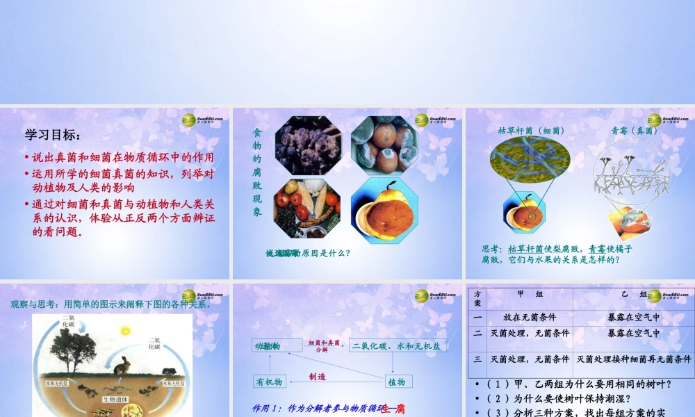 八年级生物上册 第五单元 4.4 细菌真菌在自然界中的作用课件 新人教版 课件