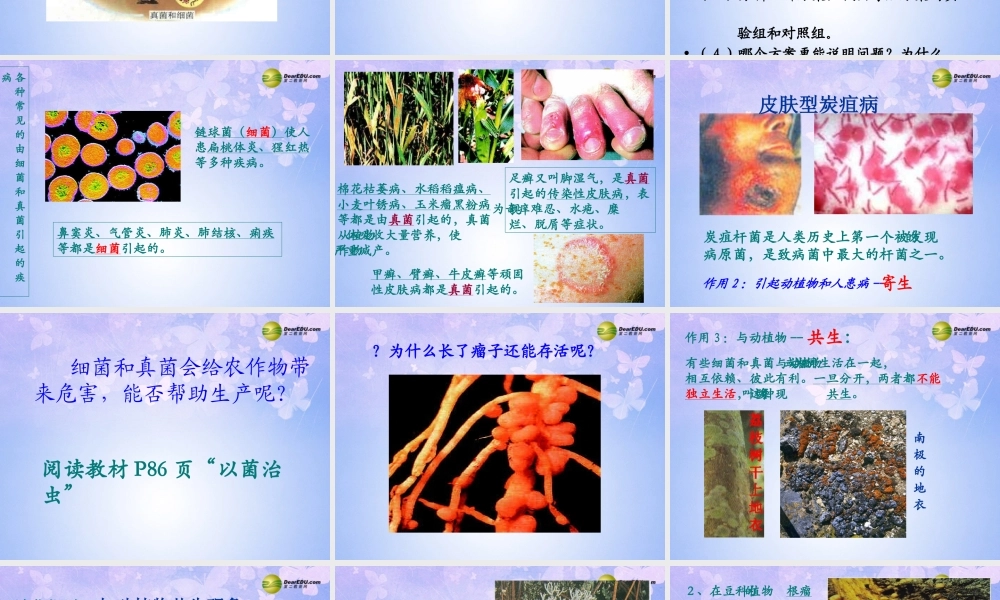 八年级生物上册 第五单元 4.4 细菌真菌在自然界中的作用课件 新人教版 课件