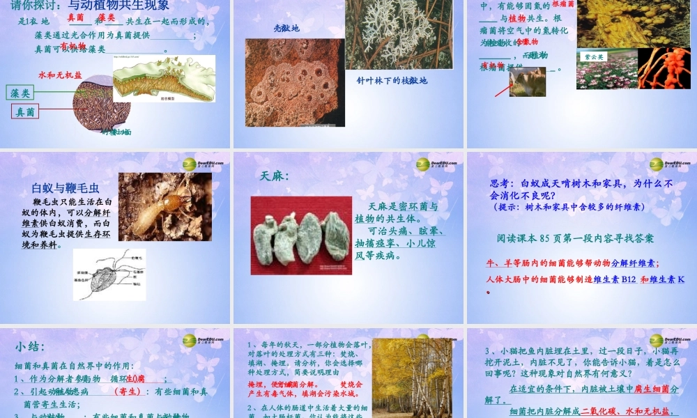 八年级生物上册 第五单元 4.4 细菌真菌在自然界中的作用课件 新人教版 课件