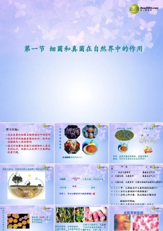 八年级生物上册 第五单元 4.4 细菌真菌在自然界中的作用课件 新人教版 课件