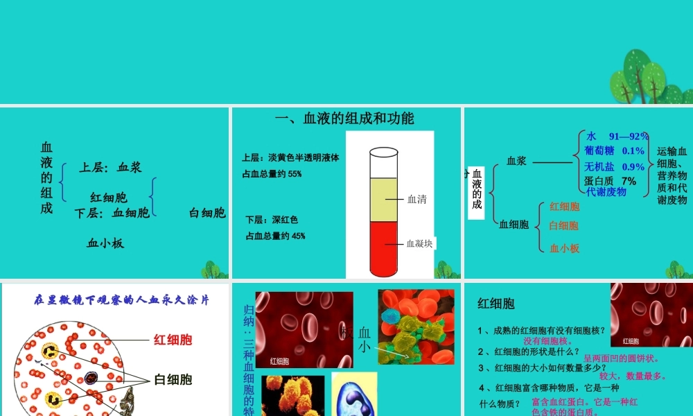 七年级生物下册 第三单元 第三章 第一节 物质运输的载体课件 (新版)济南版 课件