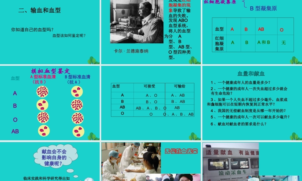 七年级生物下册 第三单元 第三章 第一节 物质运输的载体课件 (新版)济南版 课件