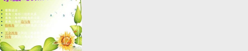 九年级数学下册：1230°，45°，60°角的三角函数值课件(北师大版) 课件