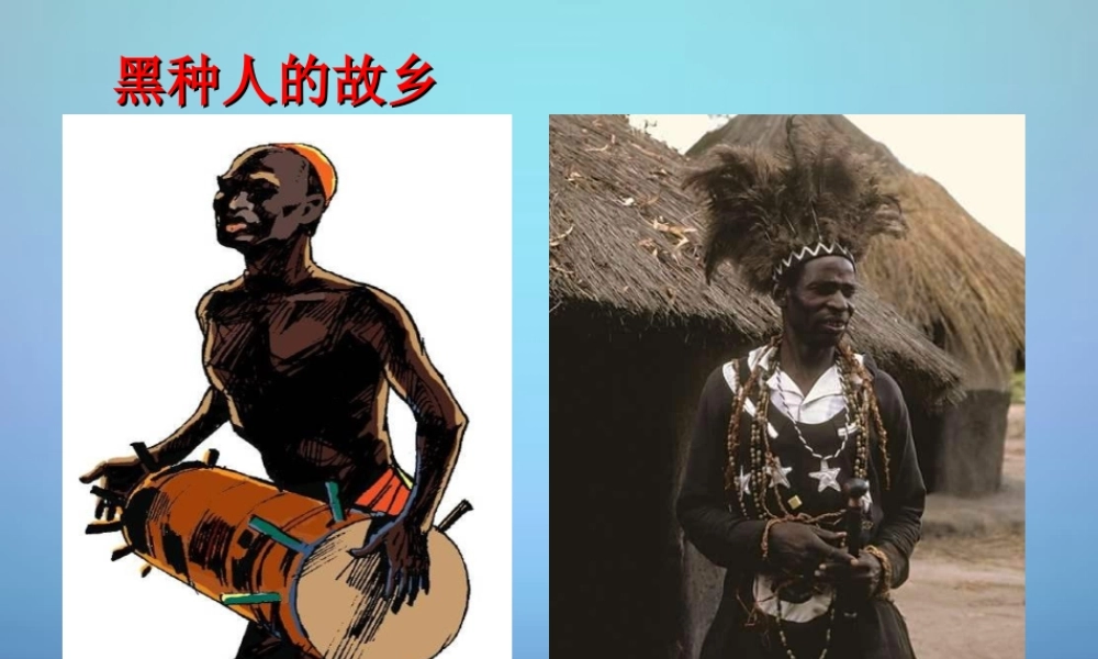 中学七年级地理下册 8.3 撒哈拉以南的非洲课件 新人教版 课件