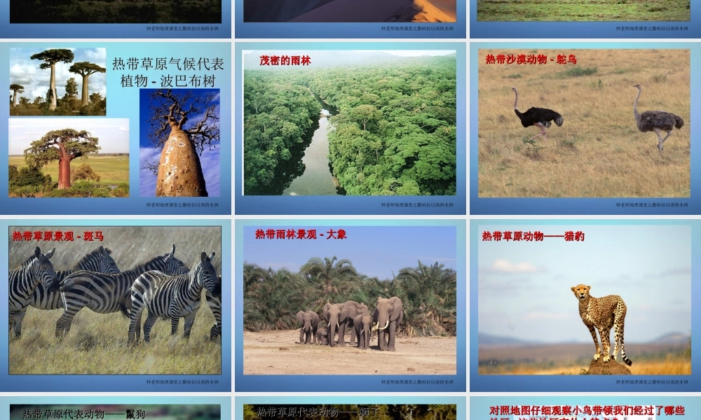 中学七年级地理下册 8.3 撒哈拉以南的非洲课件 新人教版 课件