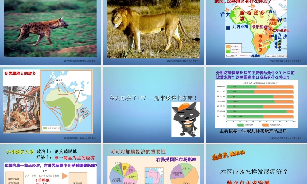 中学七年级地理下册 8.3 撒哈拉以南的非洲课件 新人教版 课件