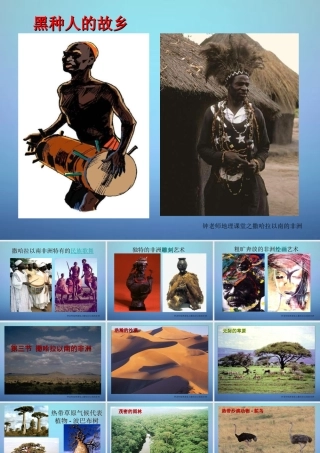 中学七年级地理下册 8.3 撒哈拉以南的非洲课件 新人教版 课件