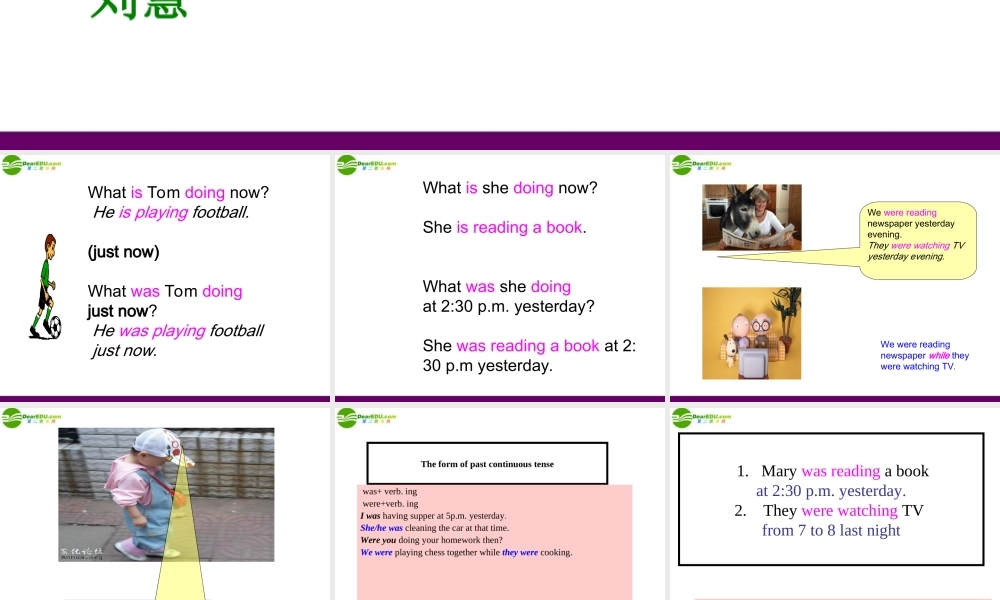 八年级英语下册 Chapter 5 Success stories Language课件 牛津深圳版 课件