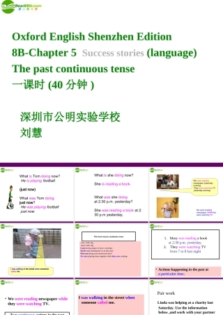 八年级英语下册 Chapter 5 Success stories Language课件 牛津深圳版 课件