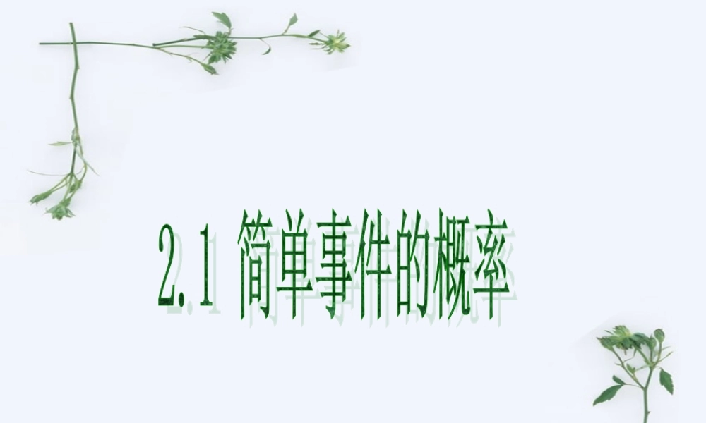 初三数学简单事件的概率二课件 浙教版 课件