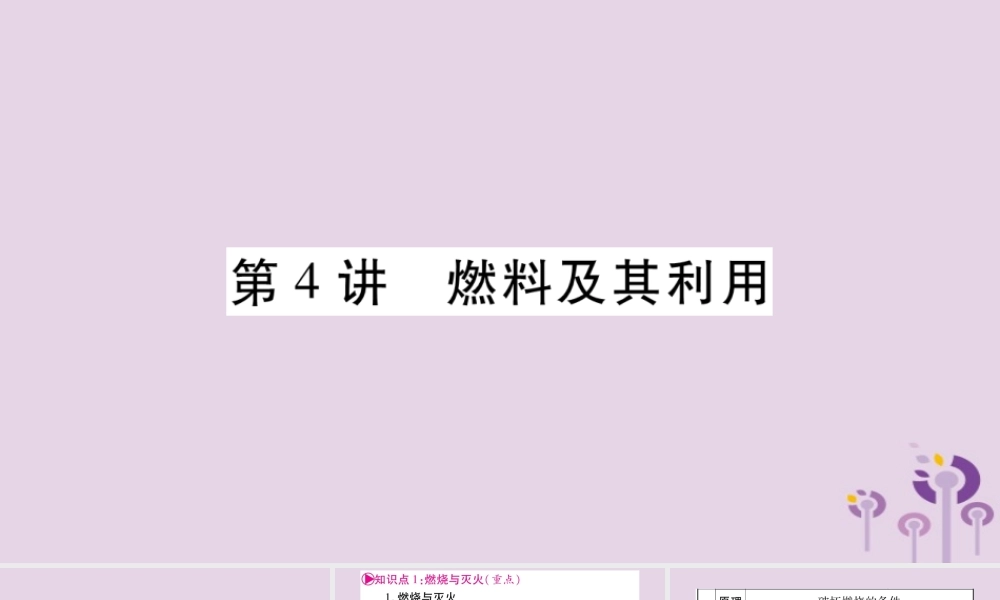 中考化学复习 第一部分 基础知识 第一单元 常见的物质 第4讲 燃料及其利用(精讲)课件