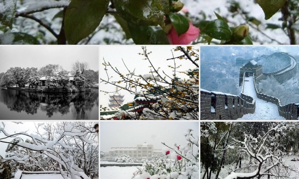 八年级语文上册 第7课(雪)课件 鲁教版 课件