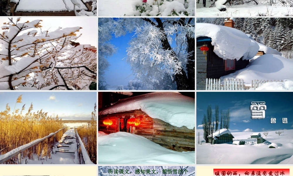 八年级语文上册 第7课(雪)课件 鲁教版 课件