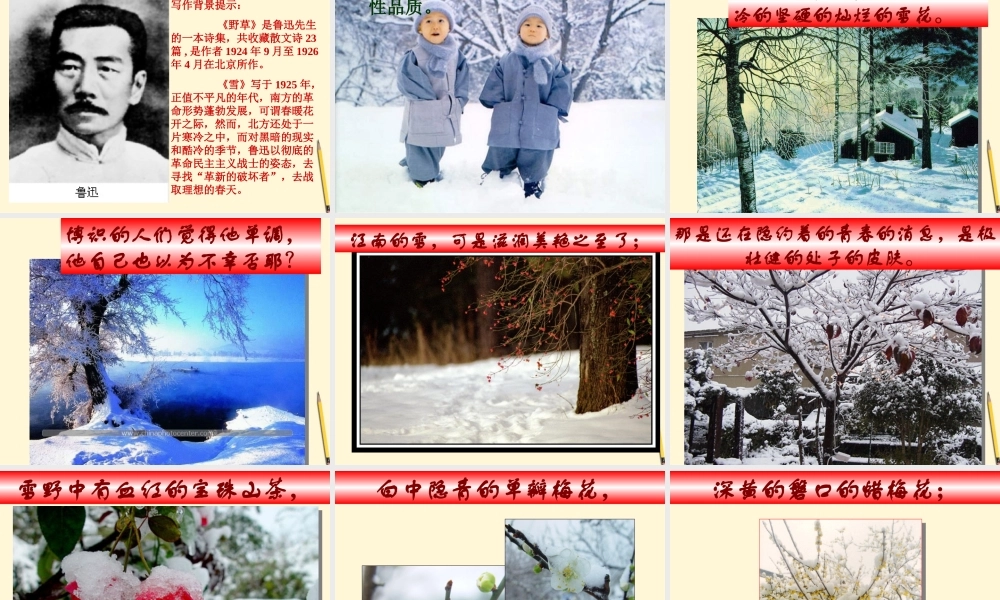 八年级语文上册 第7课(雪)课件 鲁教版 课件