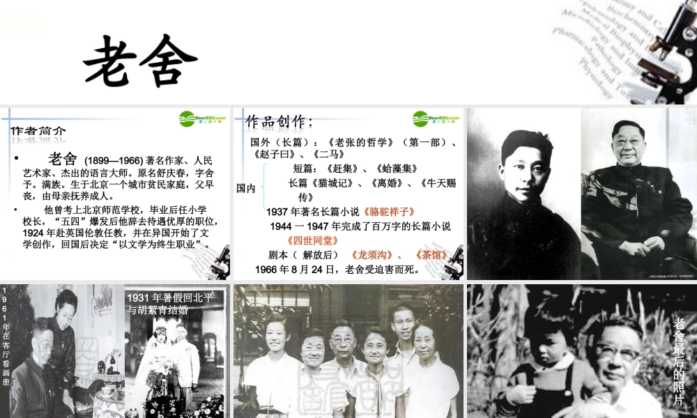 八年级语文上册 (名著导读)之(骆驼祥子)课件 新人教版 课件