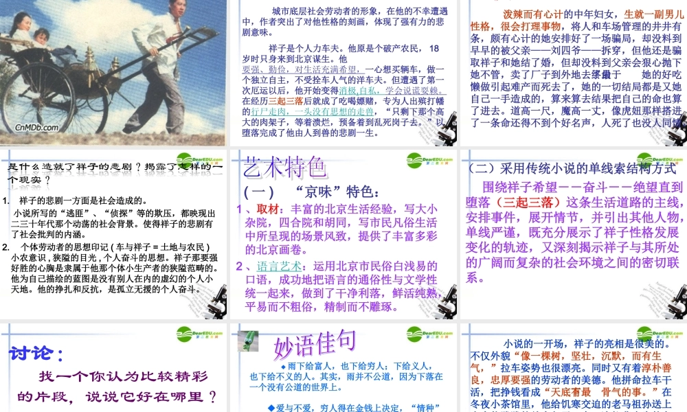 八年级语文上册 (名著导读)之(骆驼祥子)课件 新人教版 课件