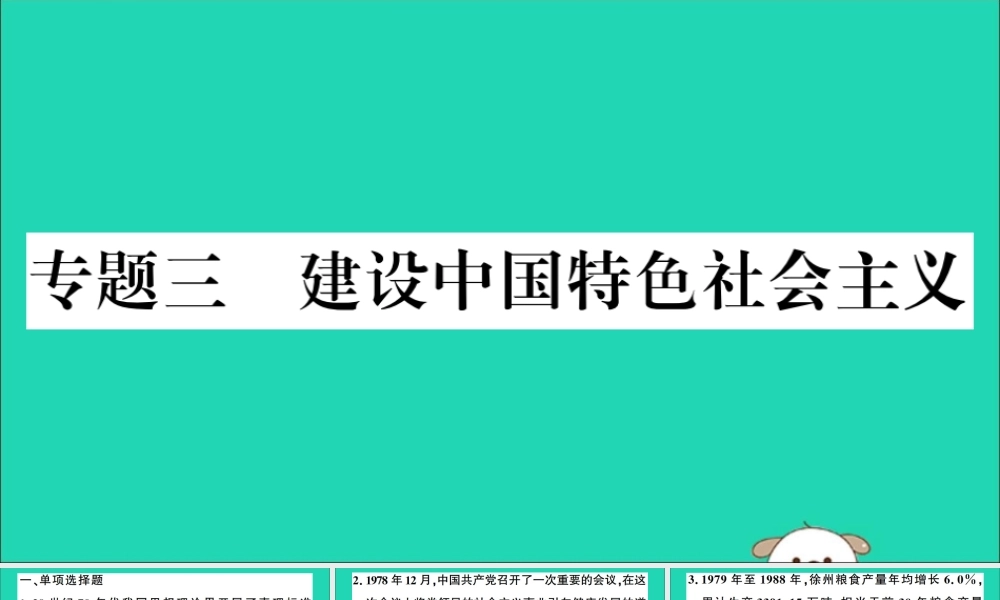 春八年级历史下册 热点专项突破篇 专题三 建设中国特色社会主义习题课件 新人教版 课件