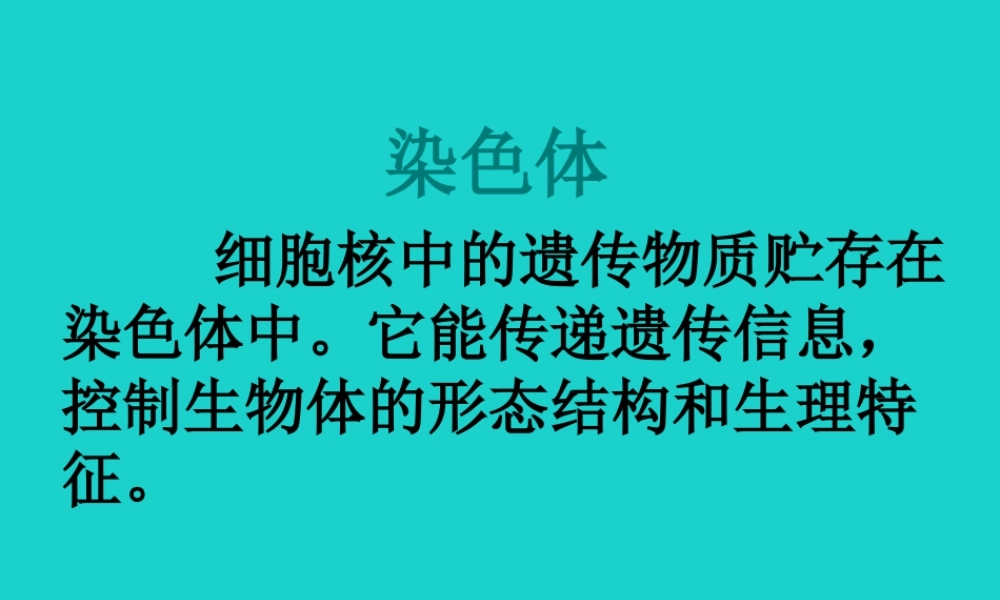 八年级生物上册 第四单元 第四章 第一节 遗传的物质基础 染色体课件 (新版)济南版 课件