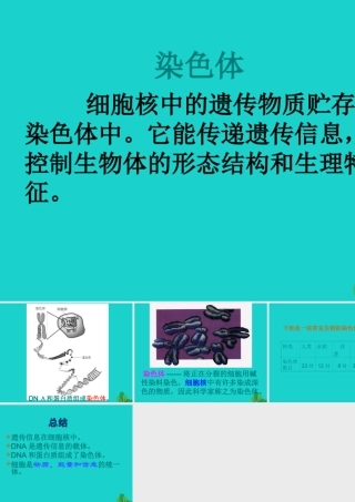 八年级生物上册 第四单元 第四章 第一节 遗传的物质基础 染色体课件 (新版)济南版 课件