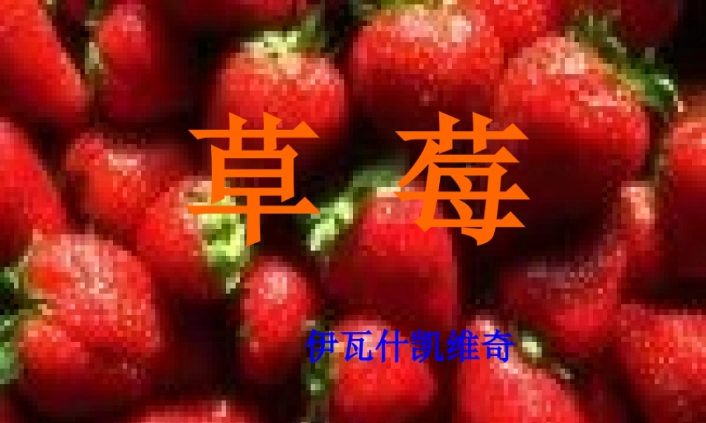 九年级语文上册 第4课(草莓)素材课件 语文版 课件