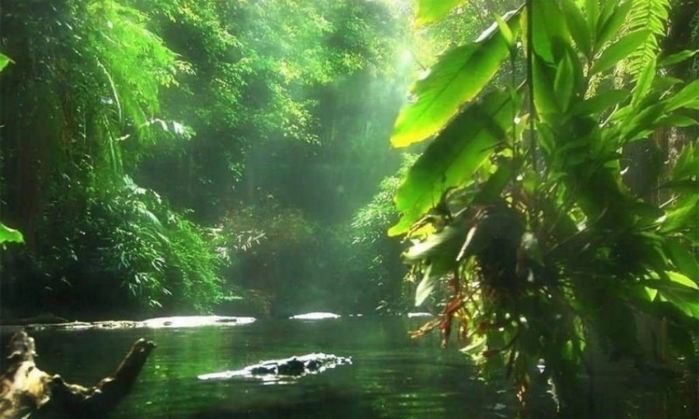 八年级物理下册(光的传播)课件 人教新课标版 课件