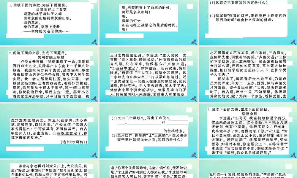 九年级语文上册 专题七 名著导读作业课件 新人教版 课件