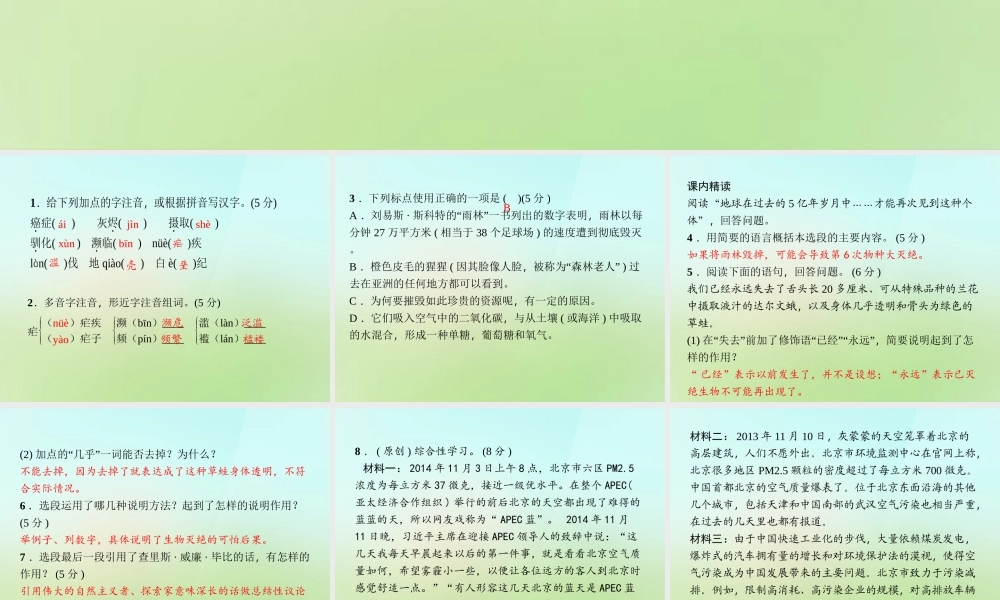 八年级语文上册 第五单元 18.雨林的毁灭——世界性灾难习题课件 语文版 课件