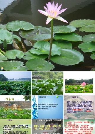 八年级语文下册(苏幕遮)课件 北师大版 课件