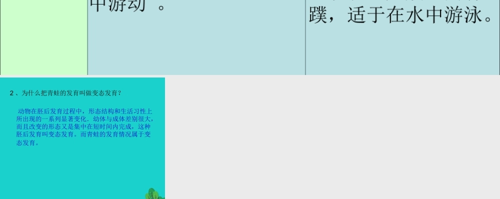 八年级生物上册 第7单元 第第2节 动物的发育 P113讨论答案课件 (新版)苏科版 课件