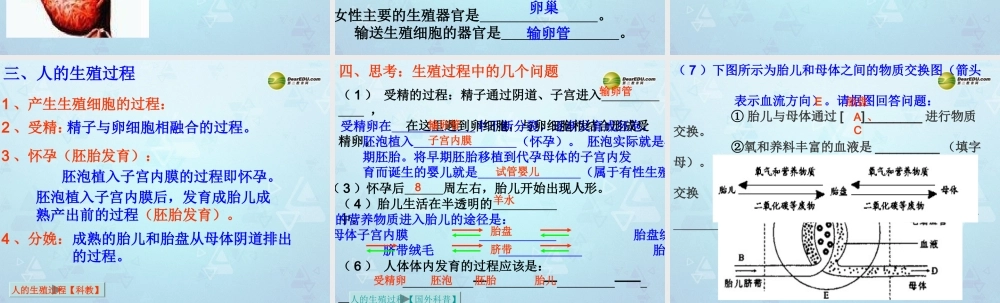 七年级生物下册 第一章 第二节 人的生殖课件 新人教版 课件