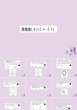 九年级数学下册 周周测(10)作业课件 (新版)湘教版 课件