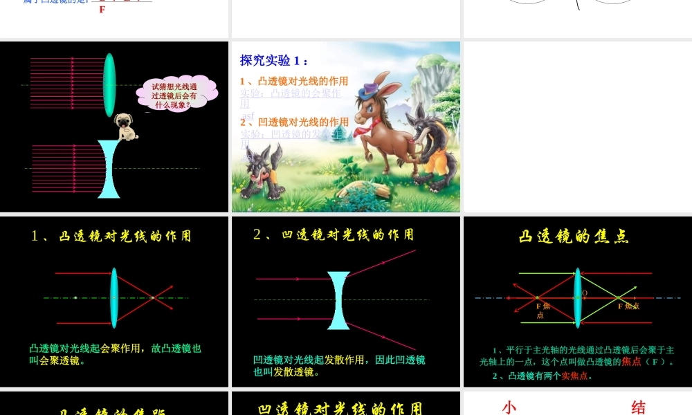 八年级物理上册 第三章第一节透镜4课件 人教新课标版 课件