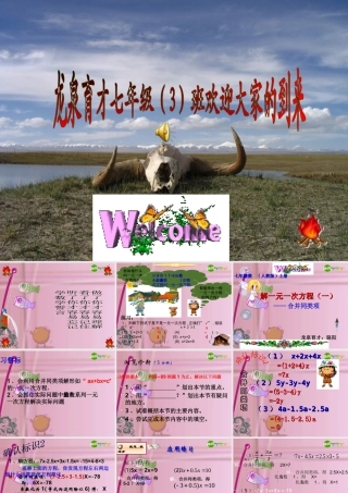 七年级数学上册 解一元一次方程(一) 合并同类项课件 人教新课标版 课件