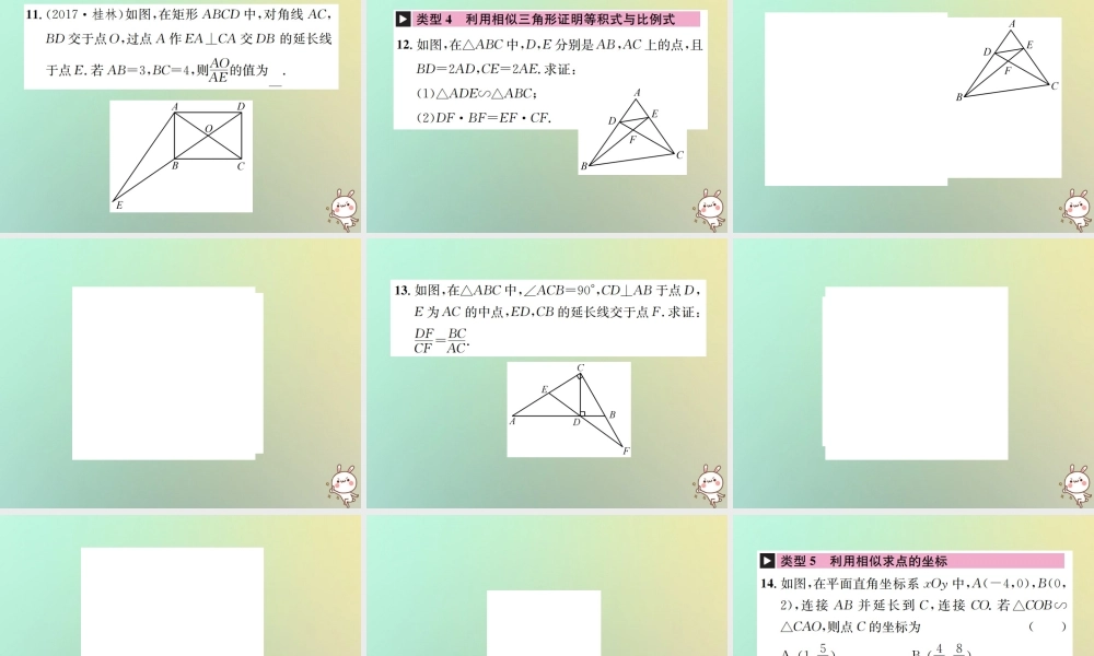 九年级数学下册 小专题(六)相似三角形的性质与判定习题课件 (新版)新人教版 课件