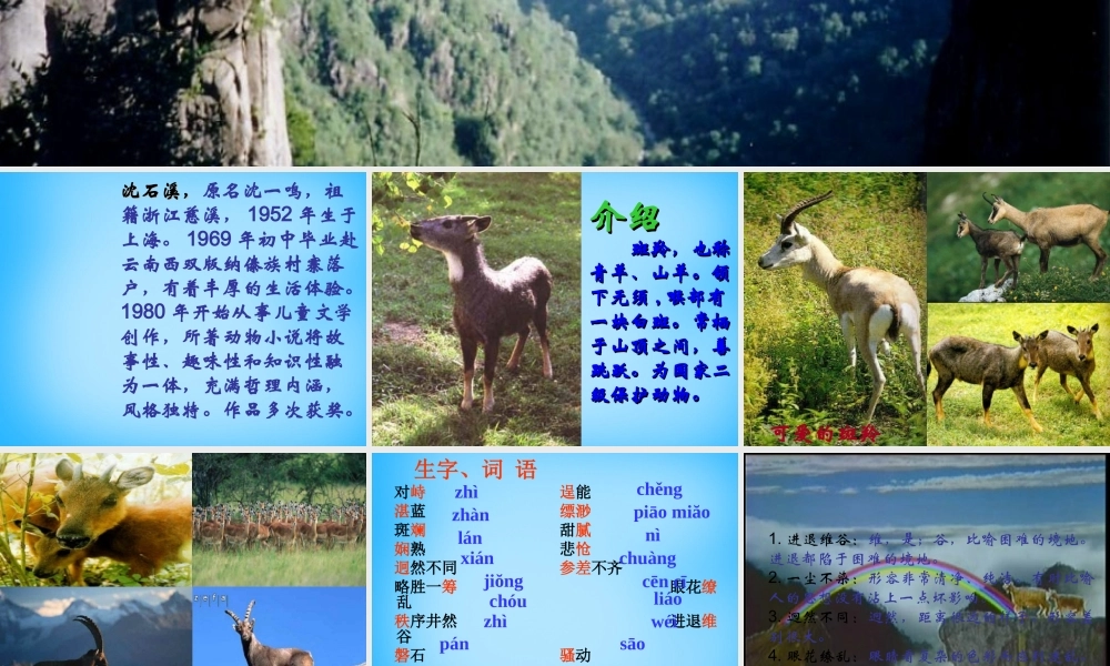 七年级语文下册 第27课 斑羚飞渡课件 新人教版 课件