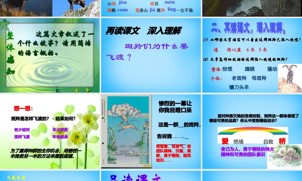七年级语文下册 第27课 斑羚飞渡课件 新人教版 课件