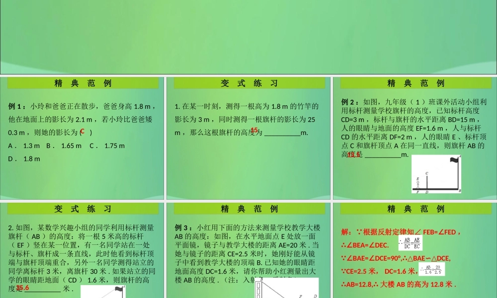 九年级数学上册 第4章 图形的相似 第10课时 利用相似三角形测高(课堂导练)习题课件 (新版)北师大版 课件