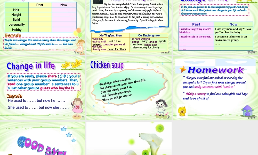 九年级英语课件示例 人教新目标版 课件