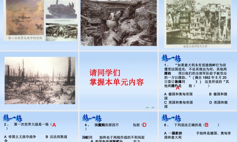 九年级历史下册 第8课(第一次世界大战的进程及结果)课件 华东师大版 课件