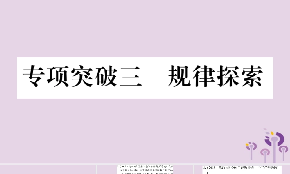 中考数学复习 第二轮 中档题突破 专项突破3 规律探索习题课件