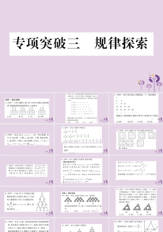 中考数学复习 第二轮 中档题突破 专项突破3 规律探索习题课件
