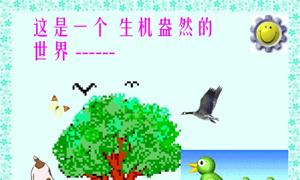 动物在自然界中的作用八年级生物第五单元第三章第一节课件示例二 课件