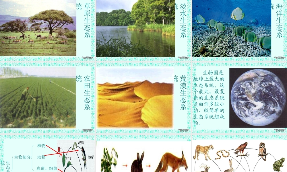 动物在自然界中的作用八年级生物第五单元第三章第一节课件示例二 课件