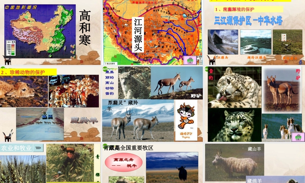 八年级地理上册 第三节青藏地区课件 湘教版 课件