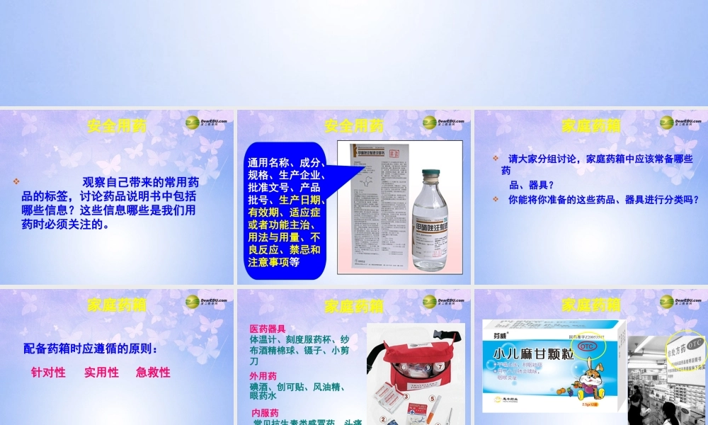 八年级生物上册 珍爱生命课件 苏教版 课件